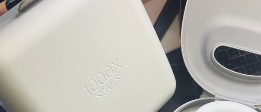 The order Udochukwu Okoronkwo received: headphones in their case